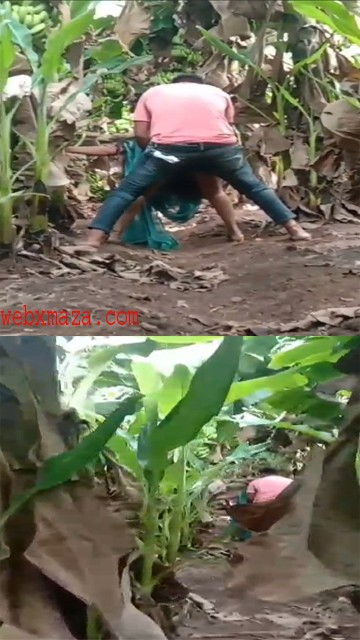 Indian Outdoor Sex Video – Indian Desi Sex